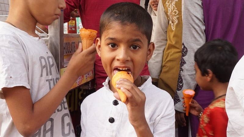 Plastic Bottle Planters